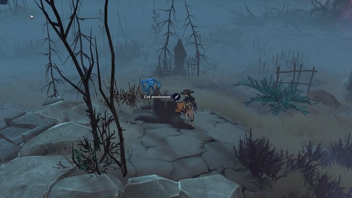 To get mushrooms, you have to cut them out using glass - The Serpent Rogue: Culinary ingredients - Cooking - The Serpent Rogue Guide