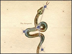 The Serpent - Oblivion: Signs - Character Creation & Development - The Elder Scrolls IV: Oblivion Game Guide & Walkthrough