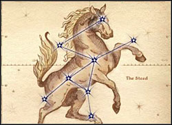 The Steed - Oblivion: Signs - Character Creation & Development - The Elder Scrolls IV: Oblivion Game Guide & Walkthrough