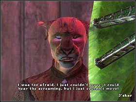 It turns out that the guild has been attacked by the necromancers - Oblivion: A Plot Revealed - Mages Guild - The Elder Scrolls IV: Oblivion Game Guide & Walkthrough