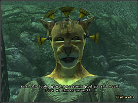 Speak with Cindanwe and ask her about her notebook - Oblivion: Side Quests: Other - Quests - The Elder Scrolls IV: Oblivion Game Guide & Walkthrough