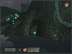 Go through Vitharn Stump and Virtharn Reservoir, all the way to Vitharn Keep - Oblivion: Side Quests: Other - Quests - The Elder Scrolls IV: Oblivion Game Guide & Walkthrough