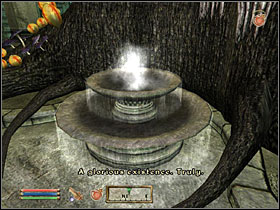 Near one of the pools youll meet either Thadon or Syl - depending on which one youve already killer when becoming a duke - Oblivion: Main Quests part 4 - Quests - The Elder Scrolls IV: Oblivion Game Guide & Walkthrough