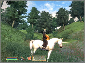 Are you wondering if you can summon a horse in the game - Oblivion: All Horses - Basics - The Elder Scrolls IV: Oblivion Game Guide & Walkthrough
