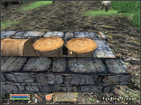 2 - Oblivion: Sheogorath - Daedric Quests - The Elder Scrolls IV: Oblivion Game Guide & Walkthrough