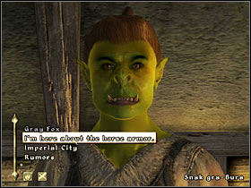 From now on, you can equip any horse with an armor: a steel one or an elfish one - Oblivion: Horse Armor - Add-ons - The Elder Scrolls IV: Oblivion Game Guide & Walkthrough