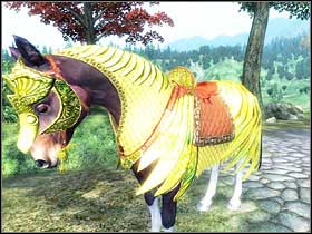 HINT: You cant buy an armor for a stolen horse, you have to legally own one - Oblivion: Horse Armor - Add-ons - The Elder Scrolls IV: Oblivion Game Guide & Walkthrough