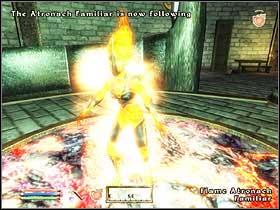 In the Living Area youll see a huge botanical garden, an alchemists paradise - Oblivion: Frostcrag Spire - Add-ons - The Elder Scrolls IV: Oblivion Game Guide & Walkthrough