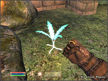 Sinderion wants you to bring him 10 roots, and will point you towards a grove to the north where youll find some of them - Oblivion: Other - Miscellaneous quests - The Elder Scrolls IV: Oblivion Game Guide & Walkthrough