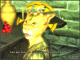 5 - Oblivion: Other - Miscellaneous quests - The Elder Scrolls IV: Oblivion Game Guide & Walkthrough