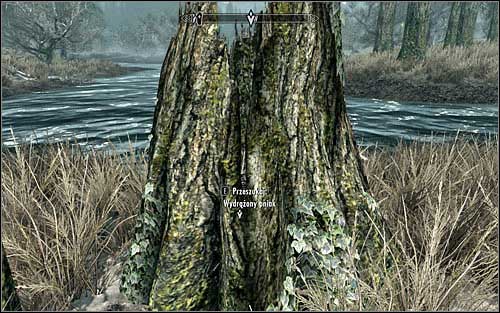 You should start looking for treasures only after youve learned locations of all four hiding places - Miscellaneous: Take the hidden treasure - The Dark Brotherhood quests - The Elder Scrolls V: Skyrim Game Guide