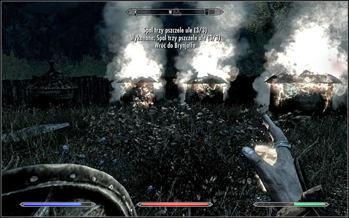 The hives can be set on fire in a few ways - with a bow enchanted with fire, spells or with a torch - Loud and Clear - Thieves Guild quests - The Elder Scrolls V: Skyrim Game Guide