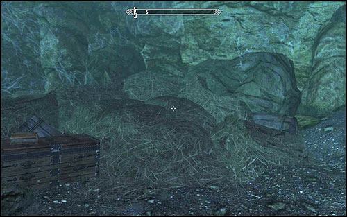 After dealing with the mage, just poison the nest - Dampened Spirits - Thieves Guild quests - The Elder Scrolls V: Skyrim Game Guide