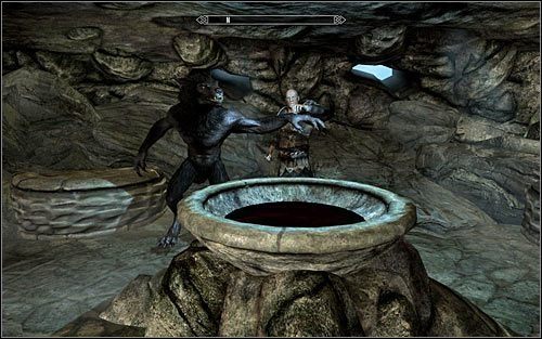 As a reminder, your hero can become a werewolf if - How to get rid of vampirism and lycanthropy disease - FAQ - The Elder Scrolls V: Skyrim Game Guide