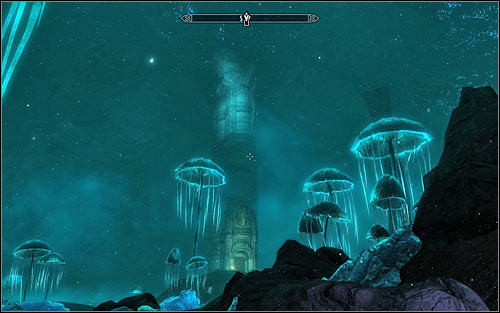 Go round the green sphere from the north and turn south after reaching the western edge of Blackreach - Obtaining the Elder Scroll | Elder Knowledge - Elder Knowledge - The Elder Scrolls V: Skyrim Game Guide