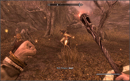 Now you traditionally need to hit Pelagius with a magic projectile - The Mind of Madness - p. 2 - Daedric quests - The Elder Scrolls V: Skyrim Game Guide