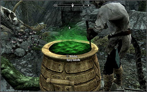 Wait for the Khajiit to throw the ingredients into the cauldron and stir them properly - The Only Cure - p. 1 - Daedric quests - The Elder Scrolls V: Skyrim Game Guide