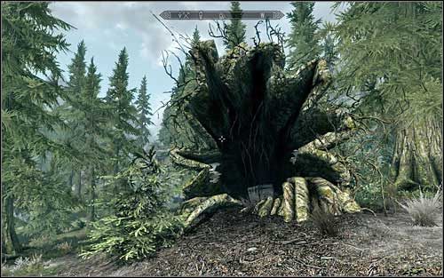 There, at the bottom of the mountains, inside a tree trunk you will find the chest (screen above) - Treasure Maps (I) | Side quests - Side quests - The Elder Scrolls V: Skyrim Game Guide
