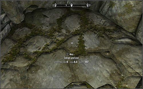 Following Arniels hint, head north - Under Saarthal - p. 1 | Side quests - Side quests - The Elder Scrolls V: Skyrim Game Guide
