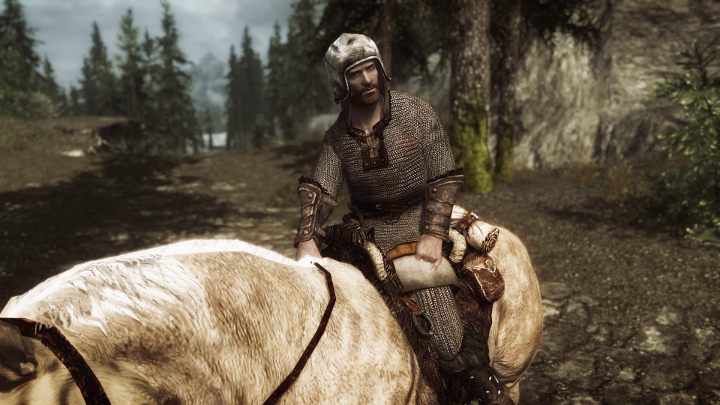 The mod introduces almost 60 new armor sets and a wide array of separate shields and helmets - Immersive Armors | Mods - Mods - The Elder Scrolls V: Skyrim Game Guide