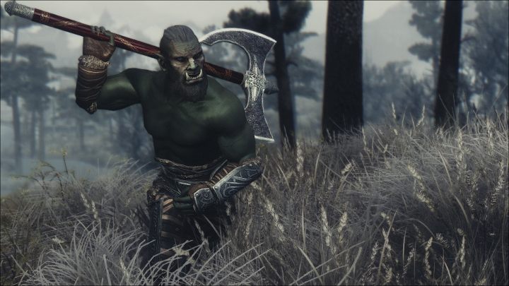 Immersive Weapons comes from the same people who gave us Immersive Armors, which guarantees top-notch quality - Immersive Weapons | Mods - Mods - The Elder Scrolls V: Skyrim Game Guide