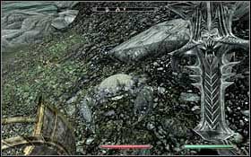 MUD CRABS - Bestiary | Listings - Listings - The Elder Scrolls V: Skyrim Game Guide