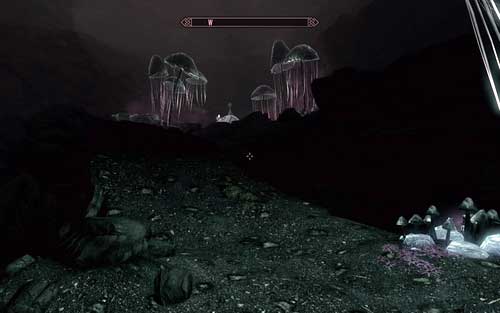 After heading inside, go to the other side of the location and climb up - Touching The Sky - p. 1 - Dawnguard path - The Elder Scrolls V: Skyrim - Dawnguard - Game Guide and Walkthrough