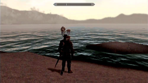 Let the mage cast his spell on you and you will receive a permanent bonus of 25 point to your health - Skyrim Dragonborn: Experimental Subject - Skyrim Dragonborn: Side missions - Tel Mithryn - The Elder Scrolls V: Skyrim - Dragonborn Game Guide