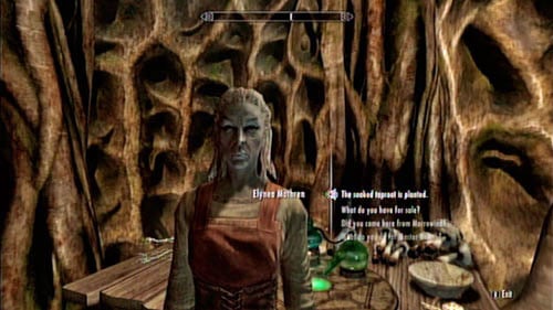 Return to the apothecary and tell Elynea that everythings done - Skyrim Dragonborn: Healing a House - Skyrim Dragonborn: Side missions - Tel Mithryn - The Elder Scrolls V: Skyrim - Dragonborn Game Guide