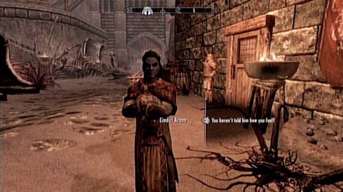 In order to receive this mission, you have to speak with the wife of Adril Arano - Cindiri Arano - Skyrim Dragonborn: Locate Cindiris Folio from the wreck of the Strident Squall - Skyrim Dragonborn: Other missions - The Elder Scrolls V: Skyrim - Dragonborn Game Guide