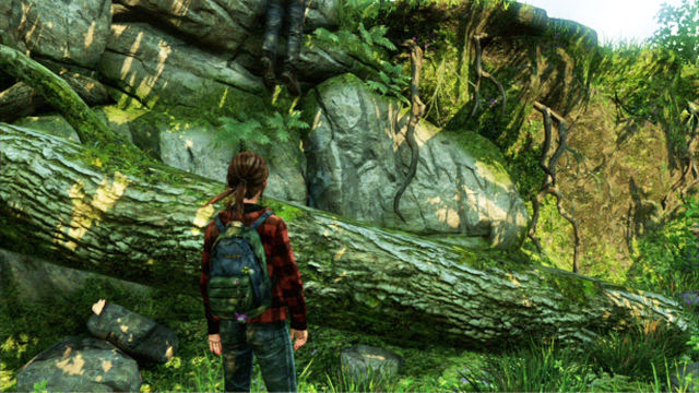 Once you reach the tall rocks, wait for Joel to climb up and take his help - The Last of Us: Epilogue, Jackson Walkthrough - Jackson - The Last of Us Guide