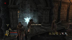 Choose the right or left road and then use the glowing portal - Citadel Tower - Chapter 1 - The Lord of the Rings: War in the North - Game Guide and Walkthrough