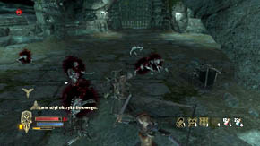 Crash urns in a small room (on the left there's a flower between the coffins) and go to the cave downstairs - The Barrow of Amon Gorthad - Chapter 2 - The Lord of the Rings: War in the North - Game Guide and Walkthrough