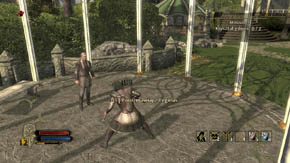 6 - Rivendell - Chapter 3 - The Lord of the Rings: War in the North - Game Guide and Walkthrough