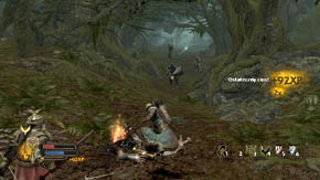 There will be two heavy-armored warriors, an archer and one ordinary warrior - Woodland Marshes - Chapter 5 - The Lord of the Rings: War in the North - Game Guide and Walkthrough