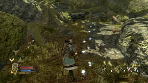 Before you enter the camp, focus your attention on a great tree on the left, under which you can pass (there are mushrooms next to it) - Woodland Marshes - Chapter 5 - The Lord of the Rings: War in the North - Game Guide and Walkthrough