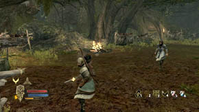 7 - Woodland Marshes - Chapter 5 - The Lord of the Rings: War in the North - Game Guide and Walkthrough