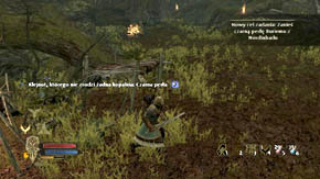 There are a lot of barrels and chests you can destroy in the camp - Woodland Marshes - Chapter 5 - The Lord of the Rings: War in the North - Game Guide and Walkthrough