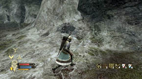 Prepare for a lot more difficult battle with the spiders - Woodland Marshes - Chapter 5 - The Lord of the Rings: War in the North - Game Guide and Walkthrough