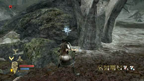 If you look at this glade while standing right in the entrance to it, you'll notice two rocks near to each other - Woodland Marshes - Chapter 5 - The Lord of the Rings: War in the North - Game Guide and Walkthrough