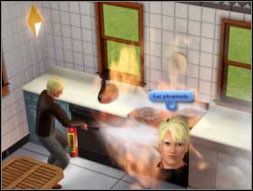 238 - The Game - Other activities and events - The Game - The Sims 3 - Game Guide and Walkthrough