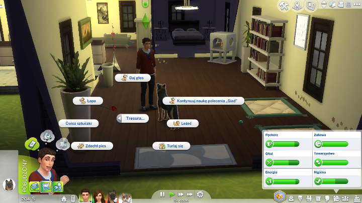 Training a pet is very simple - press the left mouse button on your animal, select More Choices - The Sims 4 Cats & Dogs: Pet Training - how to train? - Sims 4: Cats & Dogs - Sims 4 Guide