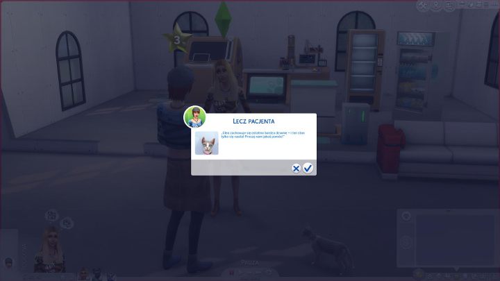 Owners with their pets will come to your clinic soon after you open it - The Sims 4 Cats & Dogs: Vet clinic - how to start? - Sims 4: Cats & Dogs - Sims 4 Guide