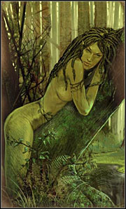 You meet her in druids grove (M10 - Important Characters in Chapter II | Walkthrough - Chapter II - The Witcher Game Guide & Walkthrough