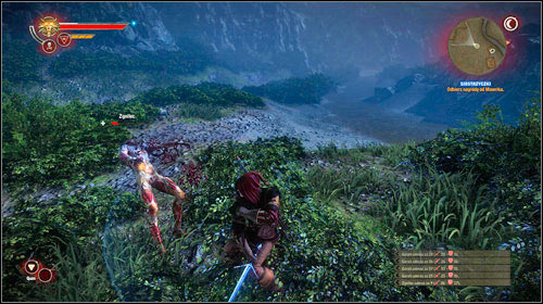 The mission is connected with the The Rotfiend Contract notice from the bulletin board - The Rotfiend Contract - Side missions - The Witcher 2 Assassins of Kings Guide