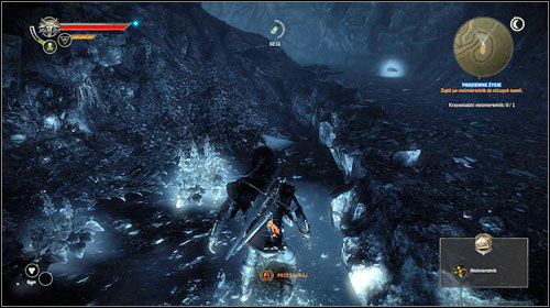 Now you can safely pick up the immortelle - Subterranean Life - Main missions - The Witcher 2 Assassins of Kings Guide