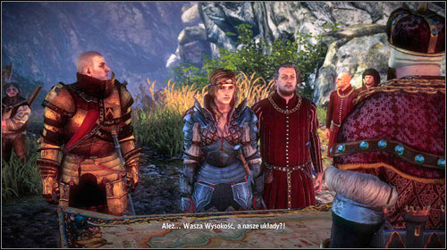 After getting there the discussion with king Henselt will begin - Prelude to War: Aedirn - Main missions - The Witcher 2 Assassins of Kings Guide