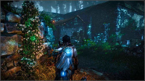 On the other side there are three guards, out of which you have to eliminate two - Indecent Proposal - Main missions - The Witcher 2 Assassins of Kings Guide