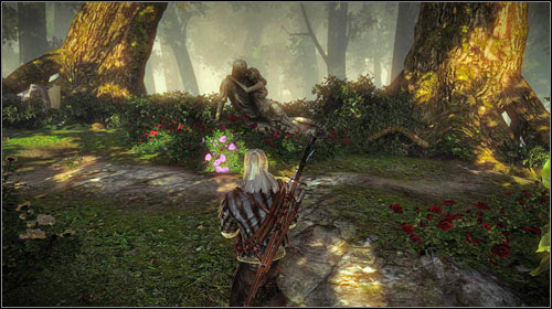 Head through the woods to the south, towards the elven ruins (M8, 18) - The Rose of Remembrance - Main missions - The Witcher 2 Assassins of Kings Guide