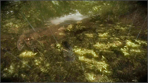 Roche will mention the fight with Iorweth - Death to the Traitor! - Main missions - The Witcher 2 Assassins of Kings Guide